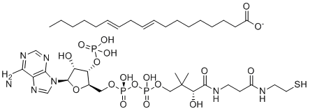 Linoleoyl-coenzyme A 40757-80-0